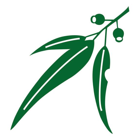 Logo Photo