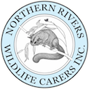 Logo Photo